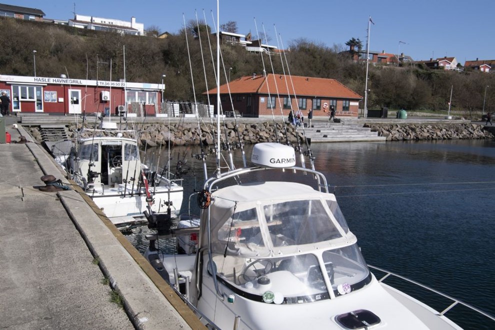 Laksestop kan koste turisterhvervet millioner