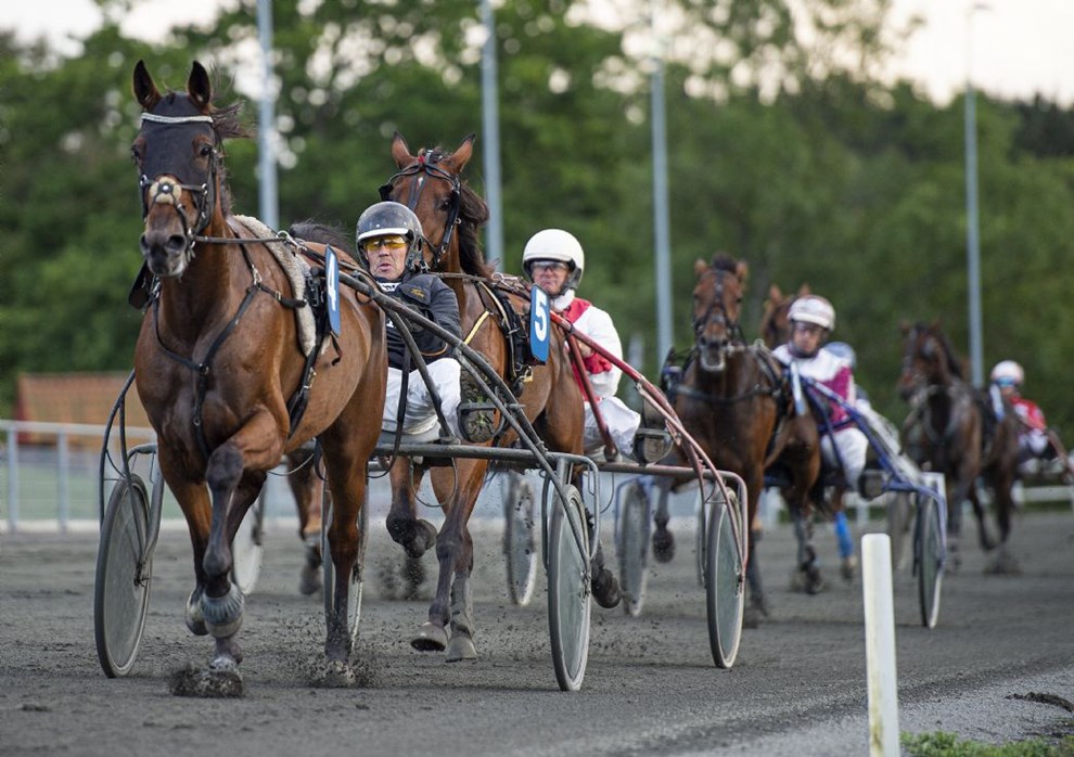 Leder: Trav er fantastisk, og du er inviteret
