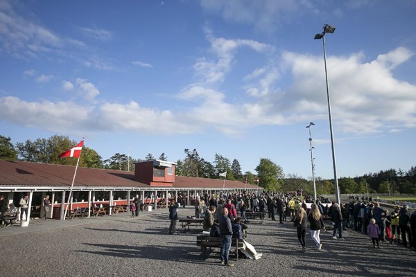 Der er kapl�b om grisen til trav: 'Jeg forventer en stor aften' 