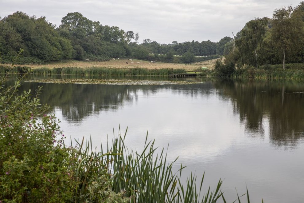 Efter massiv forurening i november: 'Der er liv, men der g�r mange �r, f�r der igen er store karper'