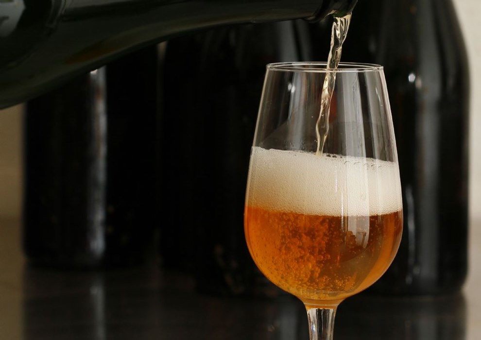 Duo vil forvandle vilde bornholmske �bler til cider