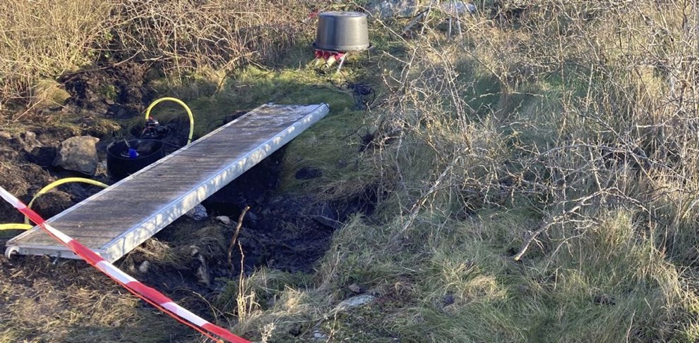 Leder: Miljgriseri p Christians