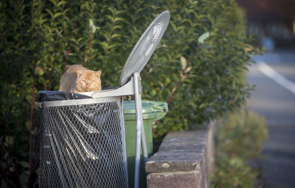 Ekspert: Bofa reparerede p HCS' tilbud