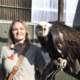 Nyt tilbud: Sov med rovfuglene