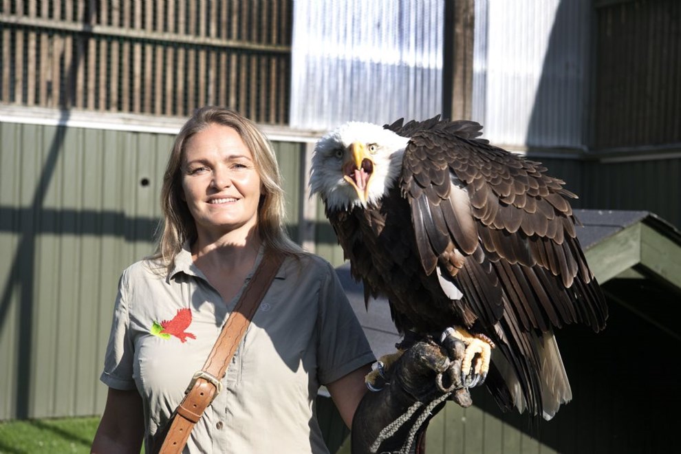 Nyt tilbud: Sov med rovfuglene