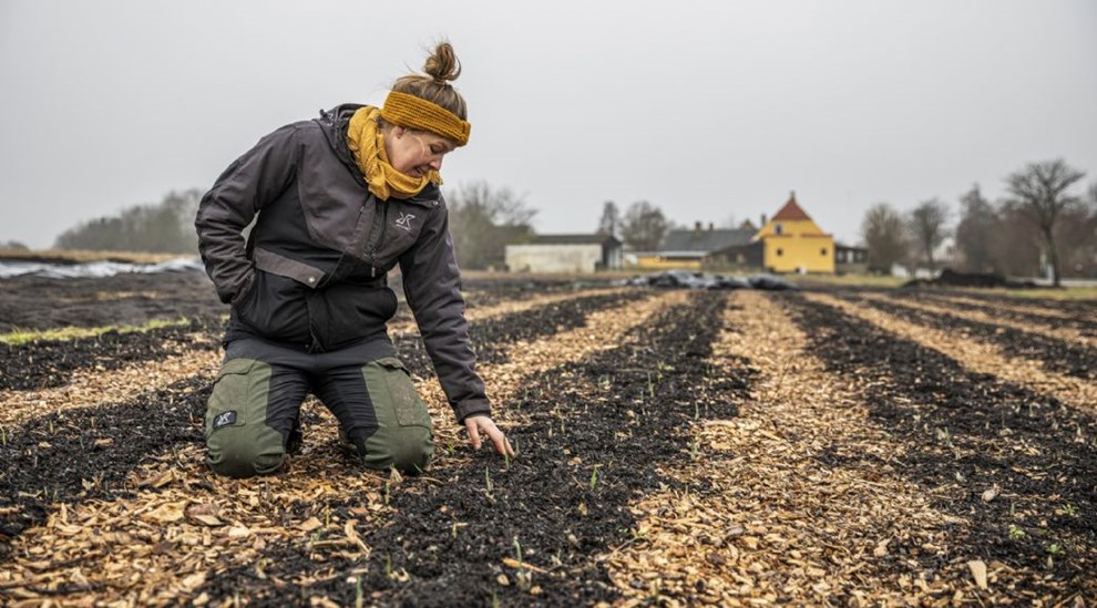 Emilie forvandler bar mark til �kologisk oase
