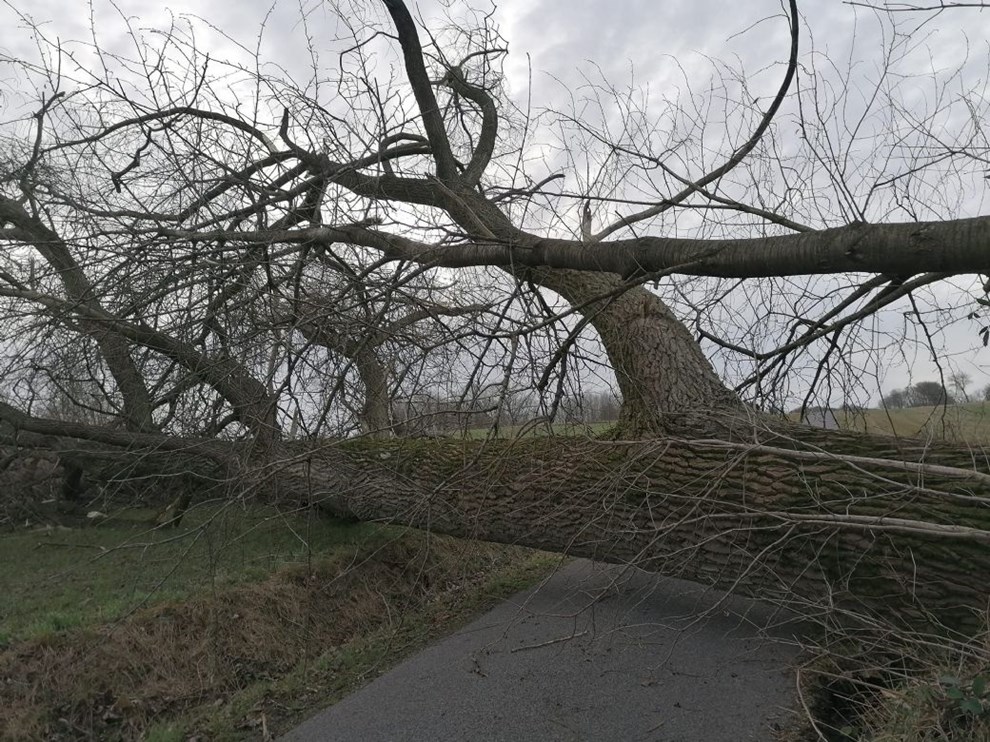 Vej og Park har haft rigtig mange stormopgaver