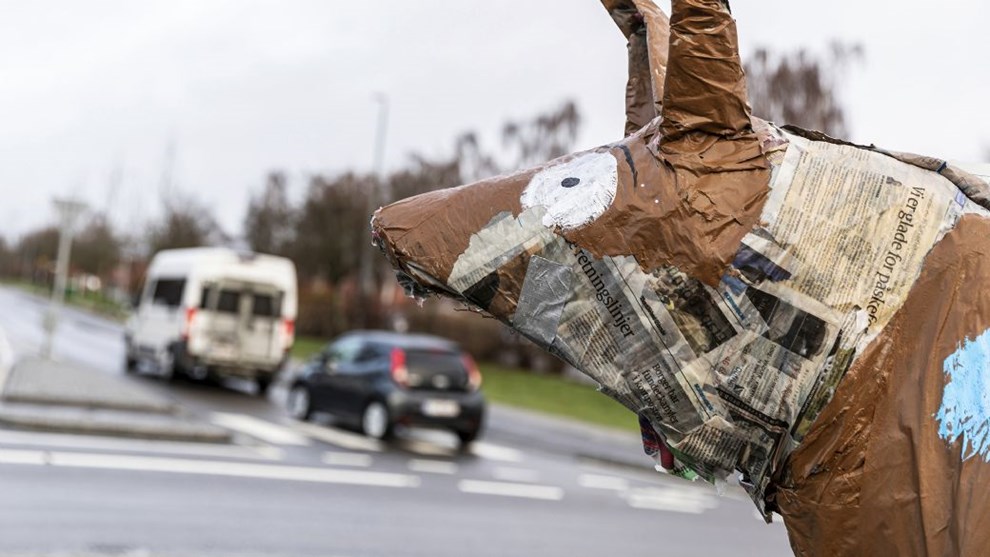 Slut p nytrsljerne: Dyret er blevet fjernet