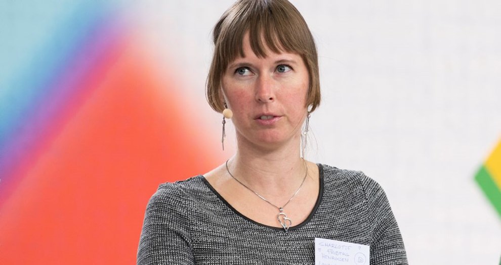 Toplst parti - Nye Borgerlige sat p pause p ubestemt tid