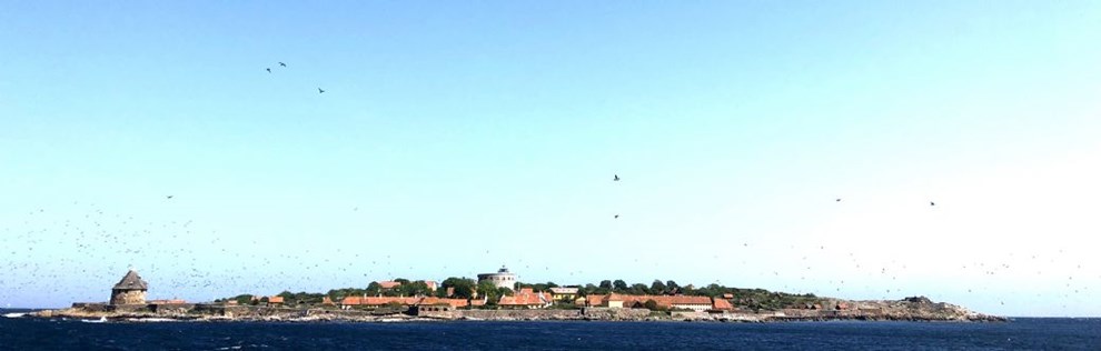 Sj�lden job�bning p� Christians�: Skal eventyret begynde her?