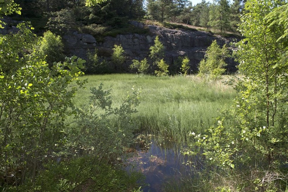Mange lodsejere er imod fredning af Paradisbakkerne