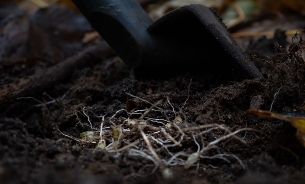 Nu er der ramslg i skoven