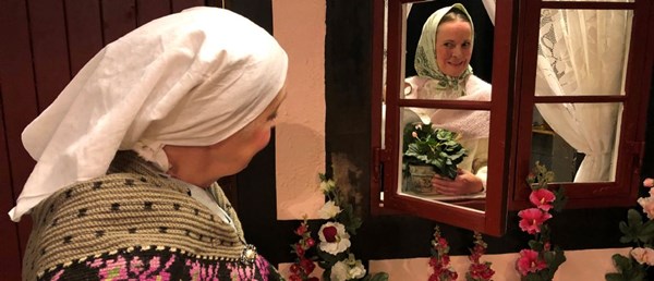 Sprogforskeren: Et sprog er en dialekt med h�r og fl�de