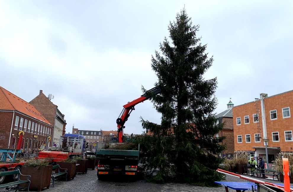 Her er det! Rnne har fet sit juletr