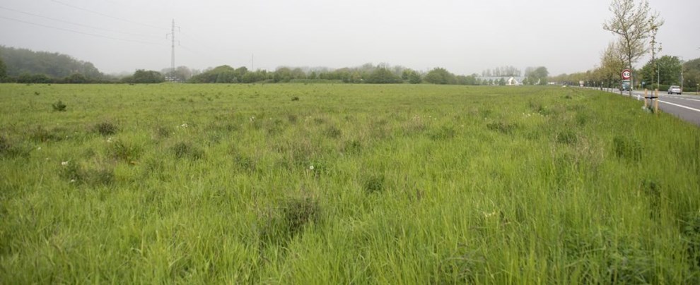 Flertal gik imod indstilling: Vil sige ja til kmpe butik