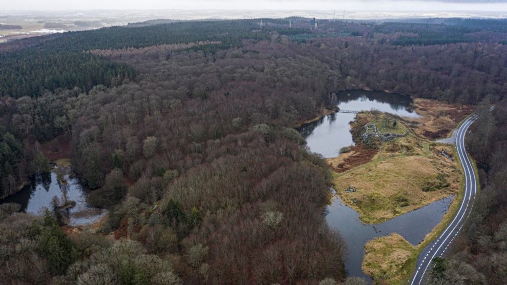 Kendte og ukendte minder i den store skov