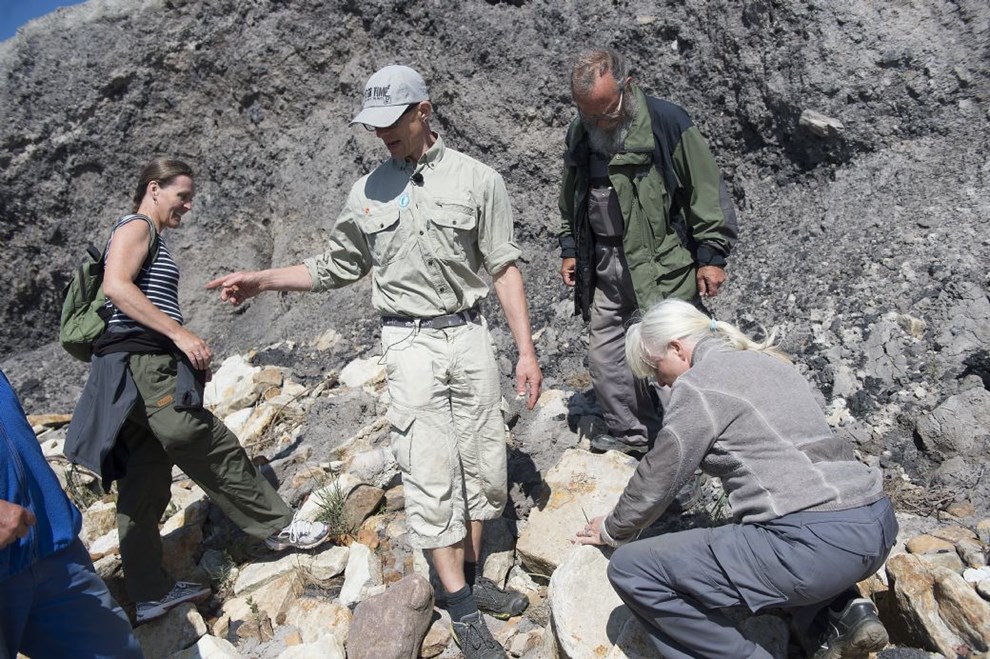 Natur for voksne: Sdan finder du en dinosaur