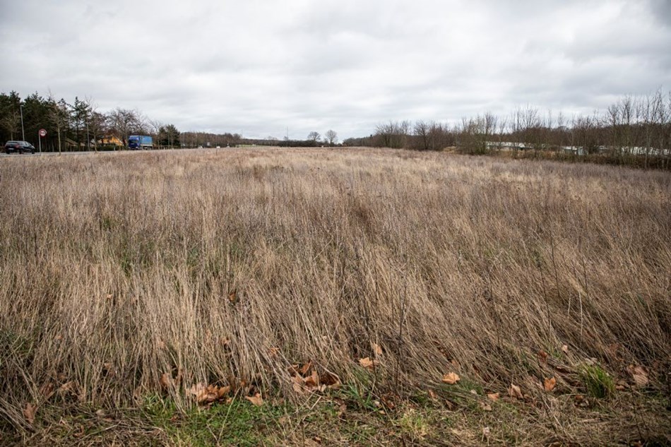 Politisk flertal byder 'M�ndenes Ikea' velkommen p� Bornholm