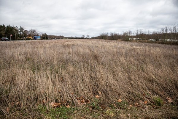 Politisk flertal byder 'M�ndenes Ikea' velkommen p� Bornholm