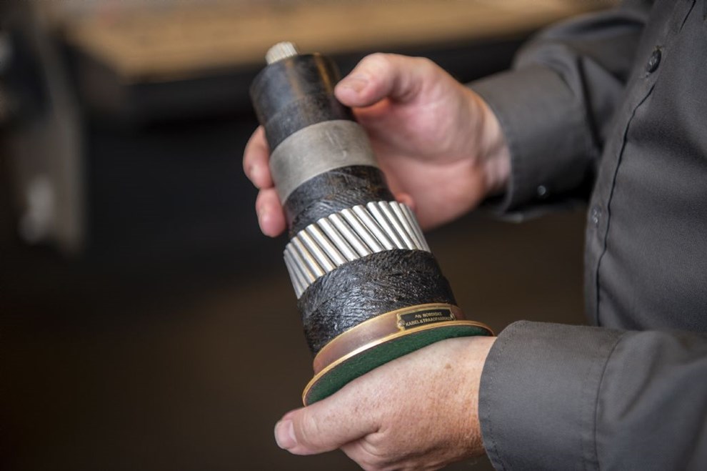 Millionskade p skabel ender som forsikringssag