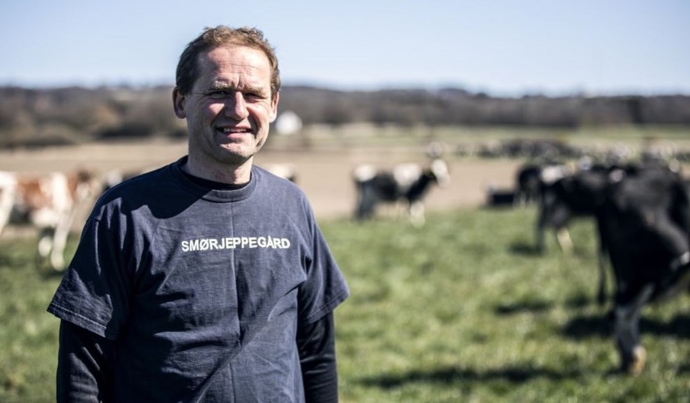 Mlkebonde: Derfor tver jeg med at omstille til kologisk produktion