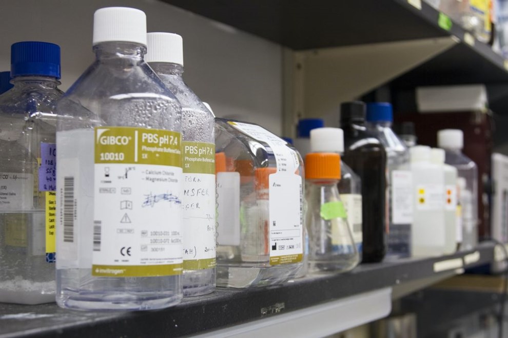 Husk den kemiske risikovurdering i din virksomhed