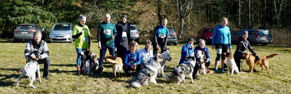 Motionslb fik held med at tiltrkke hunde