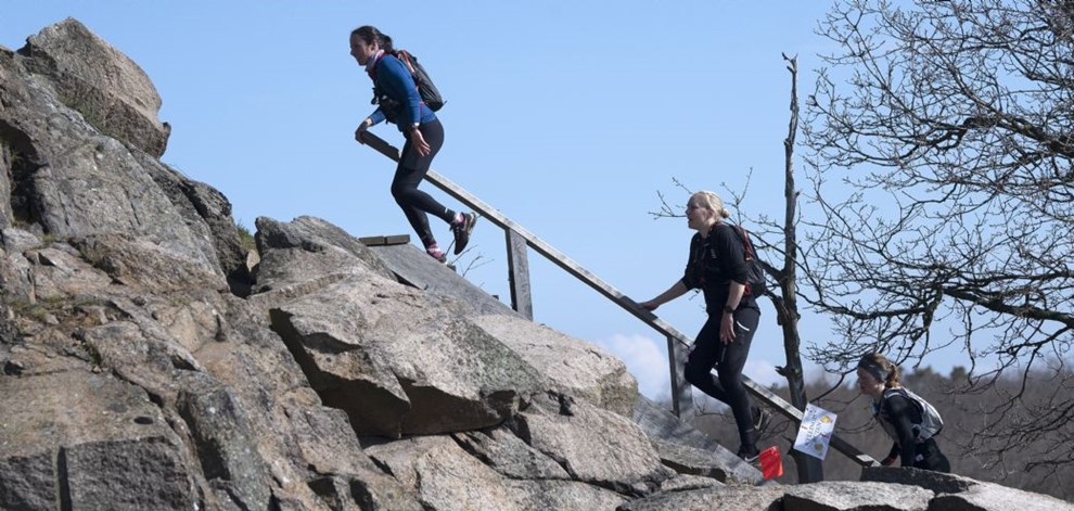 Idrtsforeninger overvejer om russere skal udelukkes eller ej: 'Vi skal passe p ikke at f startet en heksejagt'