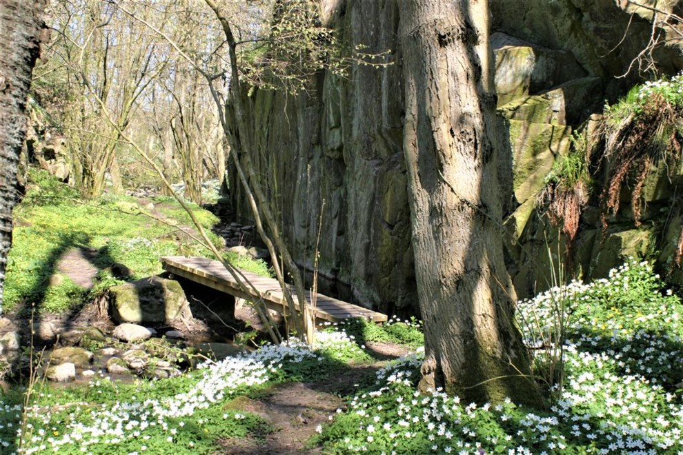 Et skjult paradis med klipper og fuglesang