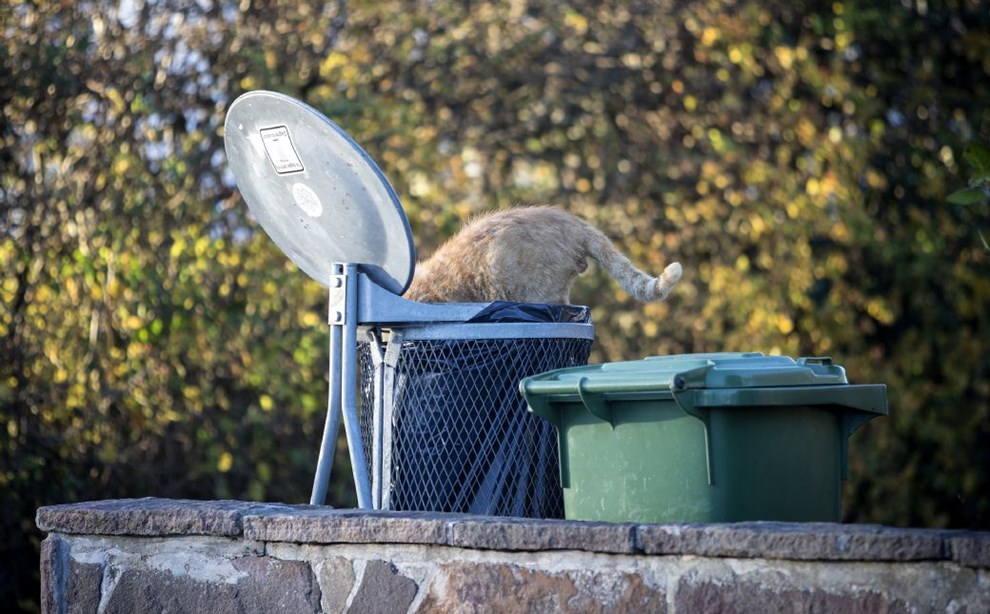 Du fr brev: Bofa i opgr mod grus, trapper og smalle passager