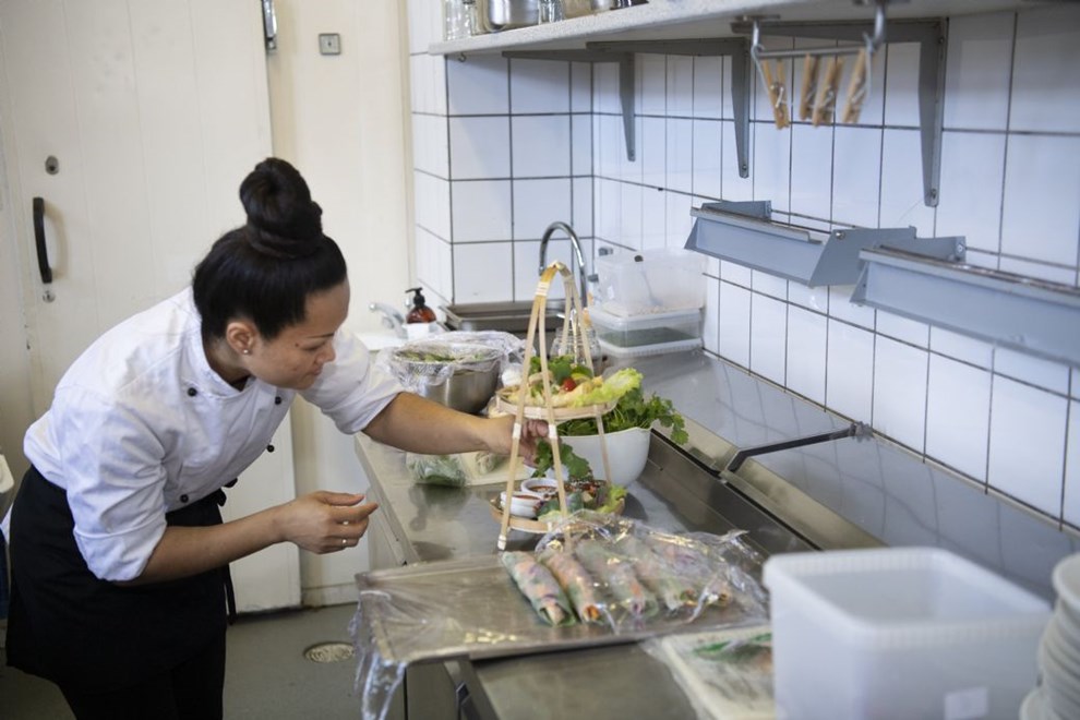 Kommunen: Vi skal have udlndinge til at reklamere for Bornholm