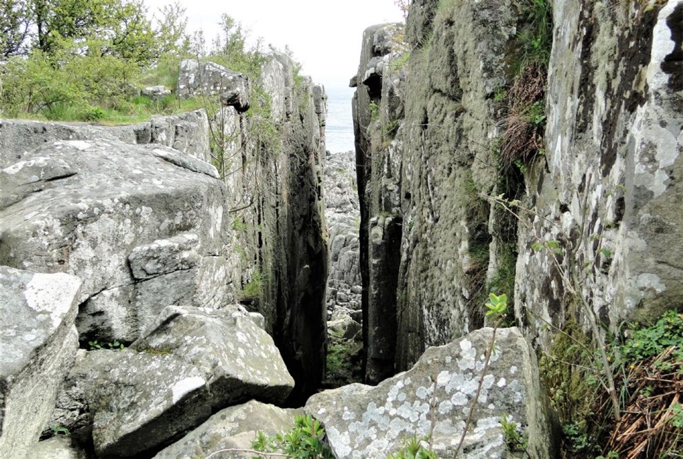 Orkideer og skr ved krigens hemmelige flugtrute