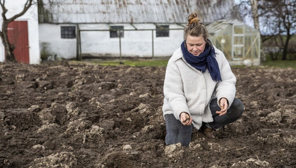 Frste r gav forventet underskud: koprojekt bner grdbutik