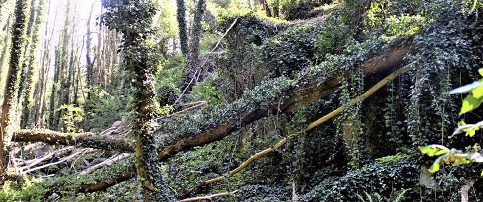 Den smukke gemte dal rummer mørke huler og skumle grotter
