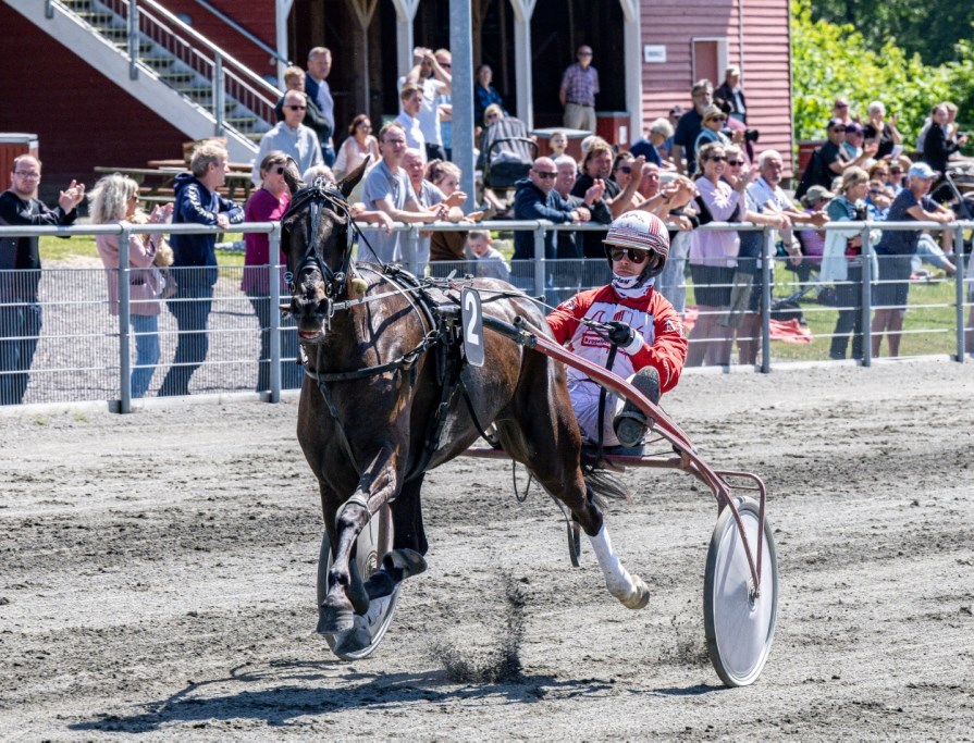 Overraskende vinder af hoppemesterskabet
