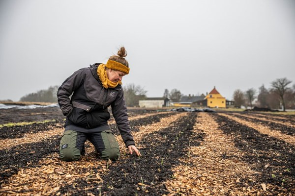 �koprojekt skal finde en ny forpagter