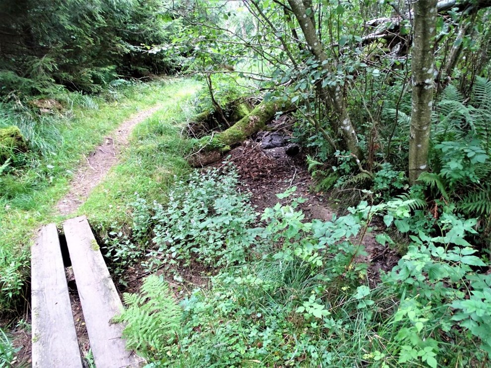 Tag p junglevandring i lene med gamle sagn i bagagen