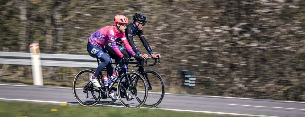 Bookmaker giver højeste odds på Cort som vinder Bookmaker giver højeste odds på Cort som vinder