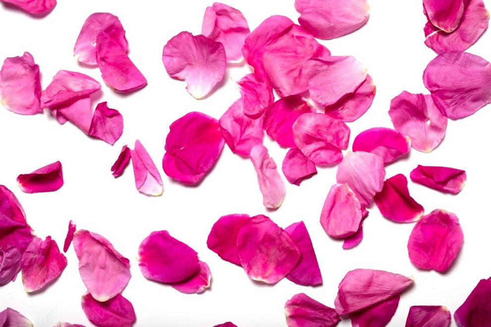 S�dan bliver de til bornholmske vingummier