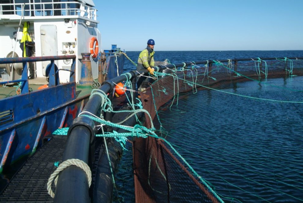 Afslag fra Miljstyrelsen: 'Det er nej tak til arbejdspladser og millioninvesteringer'