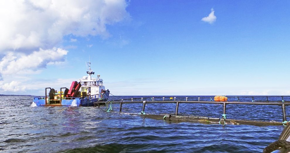 Lokale investorer: 'Hvis man ikke har nogen lovlig grund til at stoppe noget, s trkker de det bare i langdrag'