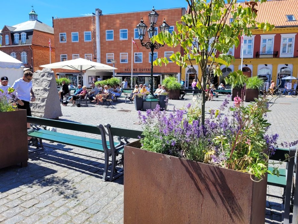 Formand tog sagen i egen hnd: 'Det duer ikke'