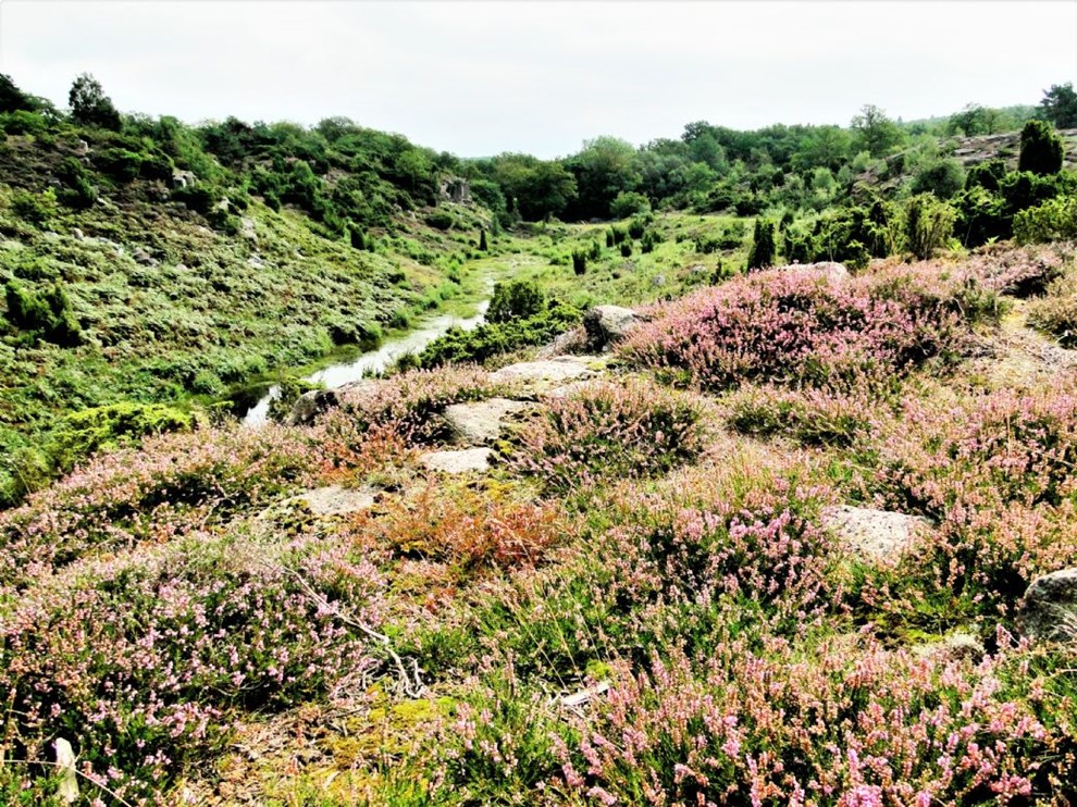 I Ravnedalen har tiden stet stille i 4.000 r