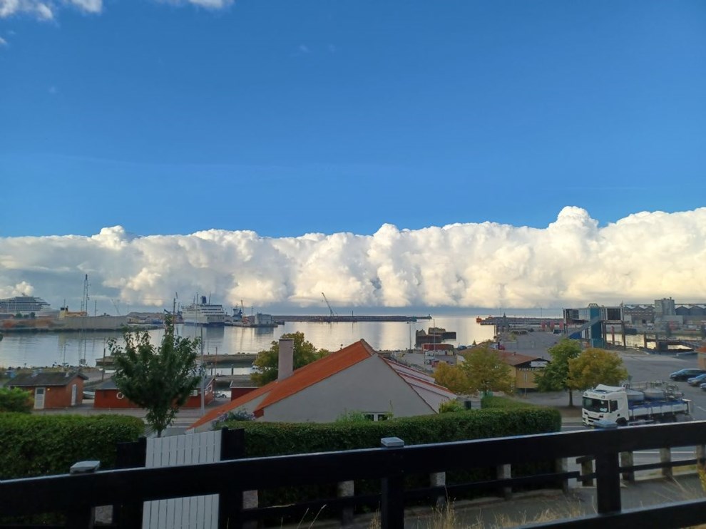 Dagens billede Dagens billede