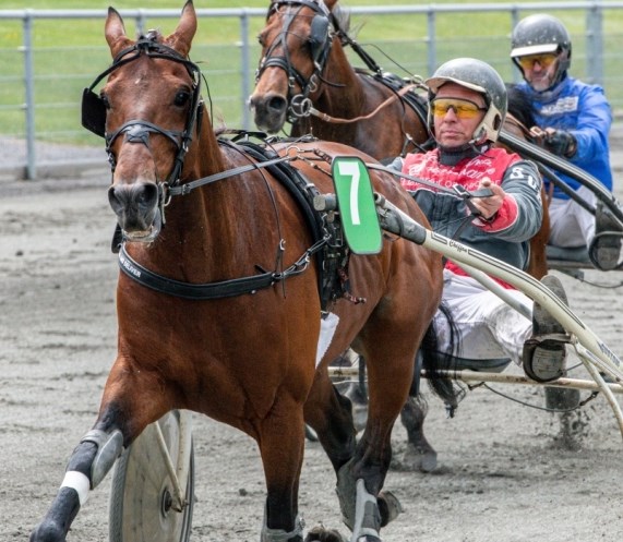 Stand And Deliver er dd