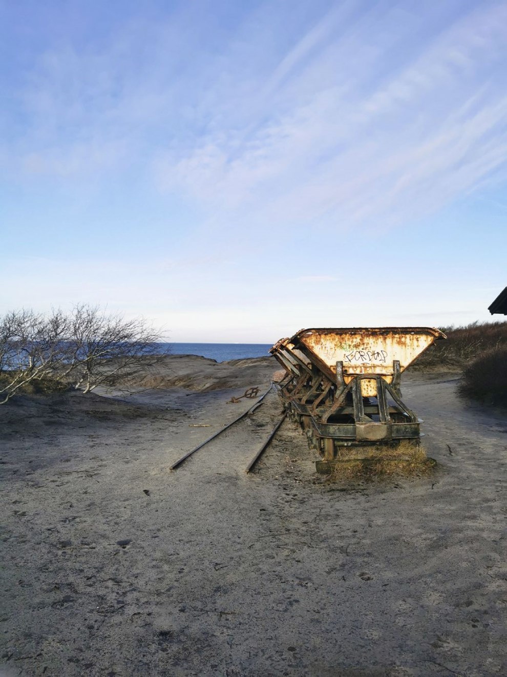 Dagens billede Dagens billede