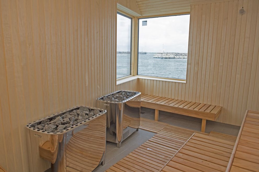 Der er mus i saunaen