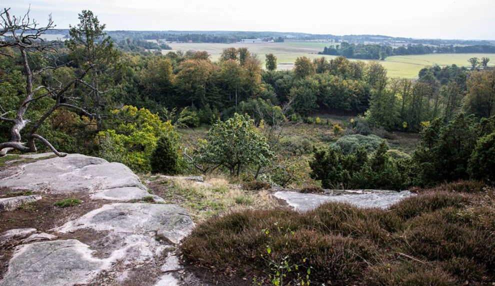 Et ekko fra restauratren  