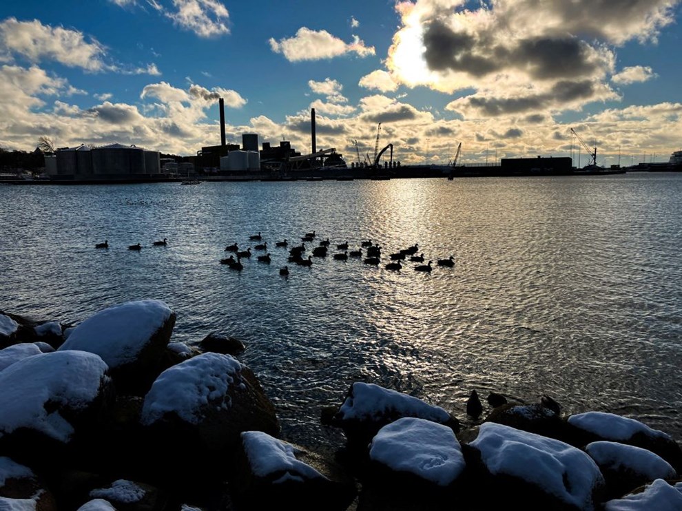 Godkendt: Nu kan der komme 20 meter hje bygninger p Rnne Havn