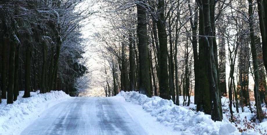 Sdan klarer naturen den kolde vinter